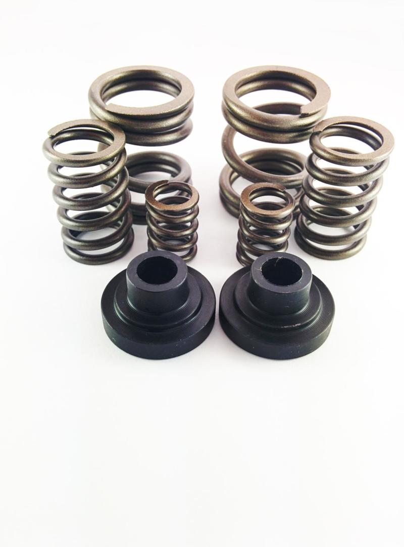 DDP Dodge 94-98 P-Pump 3000 & 4000 RPM Governor Spring Kit - Mammoth Racing -