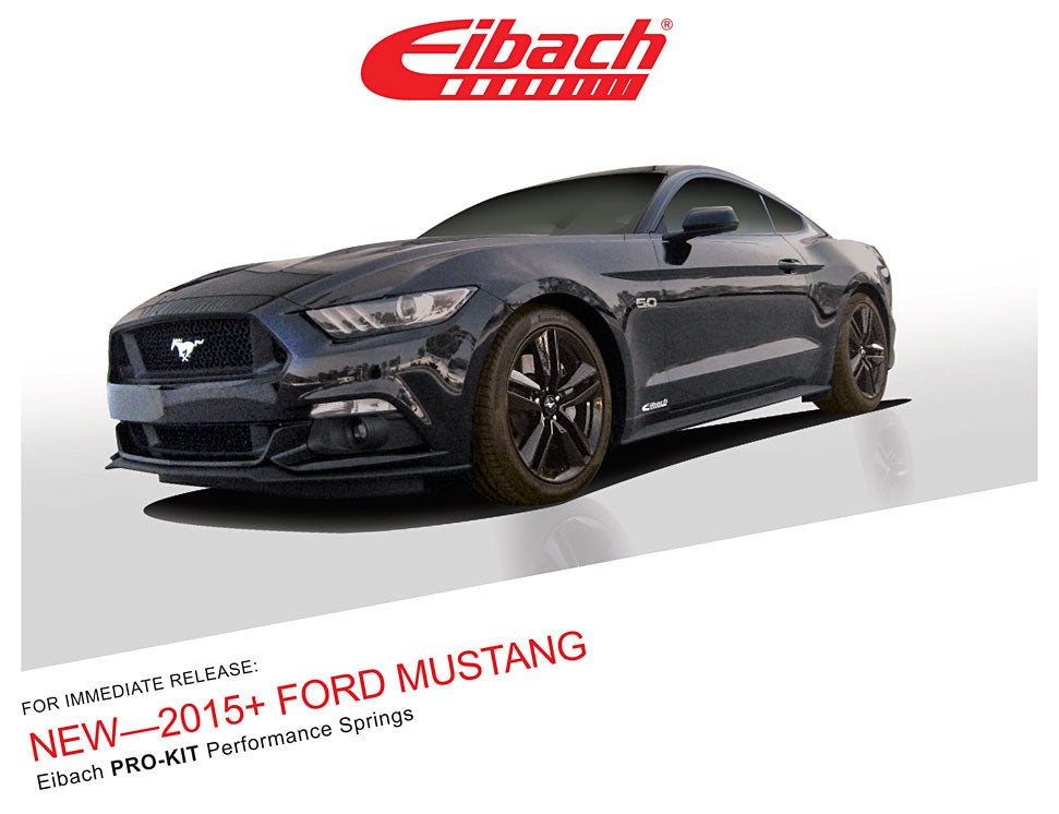 15 Ford Must Sprt Pls Kit - My Store